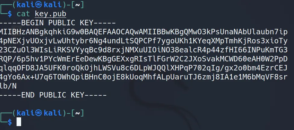 A screenshot of the public key that is part of this challenge.